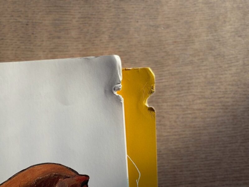 子どもが噛んでボロボロになったかがくのともの中のページ