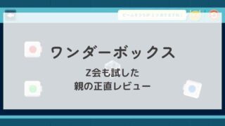 ワンダーボックスとZ会を試して親が思った正直レビューブログのアイキャッチ画像